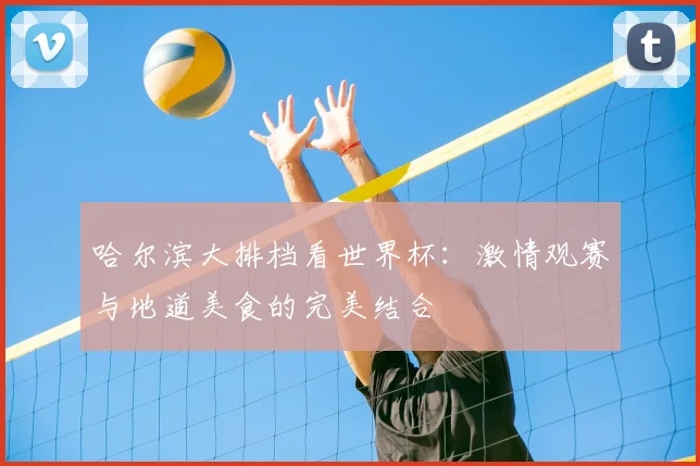 哈尔滨大排档看世界杯：激情观赛与地道美食的完美结合