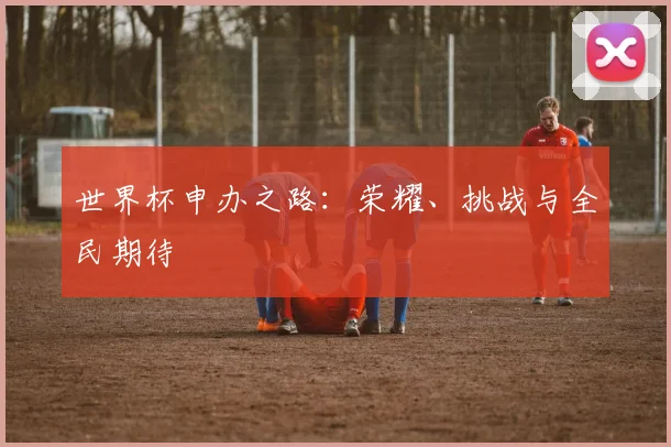 世界杯申办之路:荣耀、挑战与全民期待