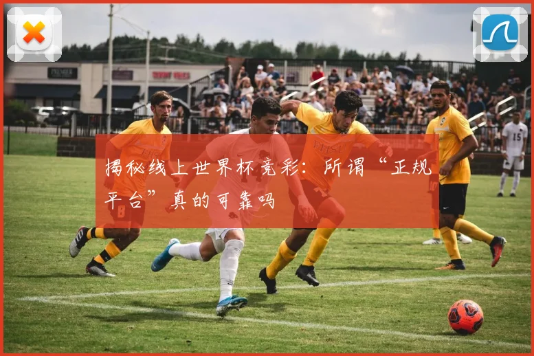 揭秘线上世界杯竞彩：所谓“正规平台”真的可靠吗