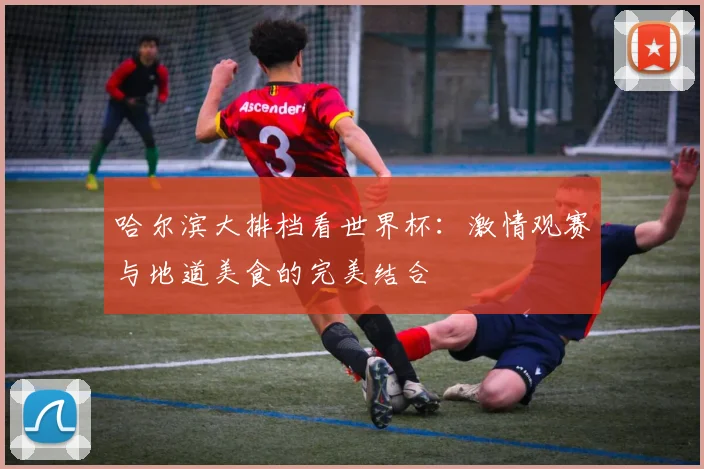 哈尔滨大排档看世界杯：激情观赛与地道美食的完美结合