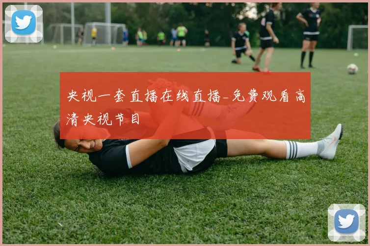 央视一套直播在线直播_免费观看高清央视节目