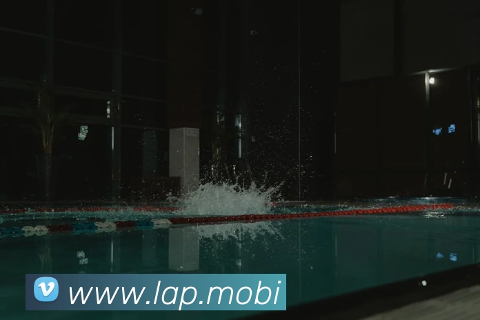 开云手机登录官网平台生态图