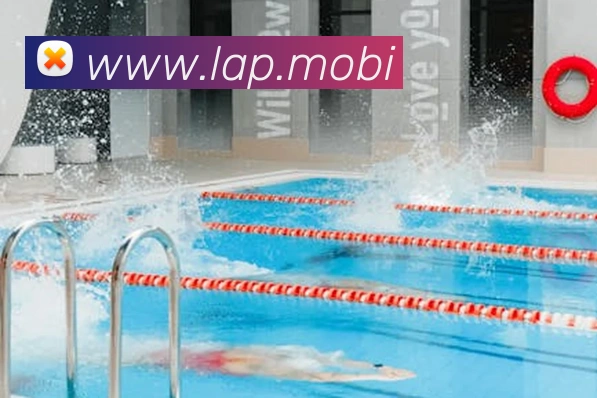 开云手机登录官网全站App